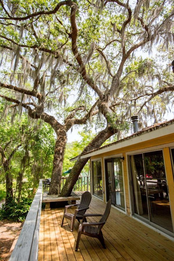 Riverfront Treetop Bungalow Homosassa Exterior photo